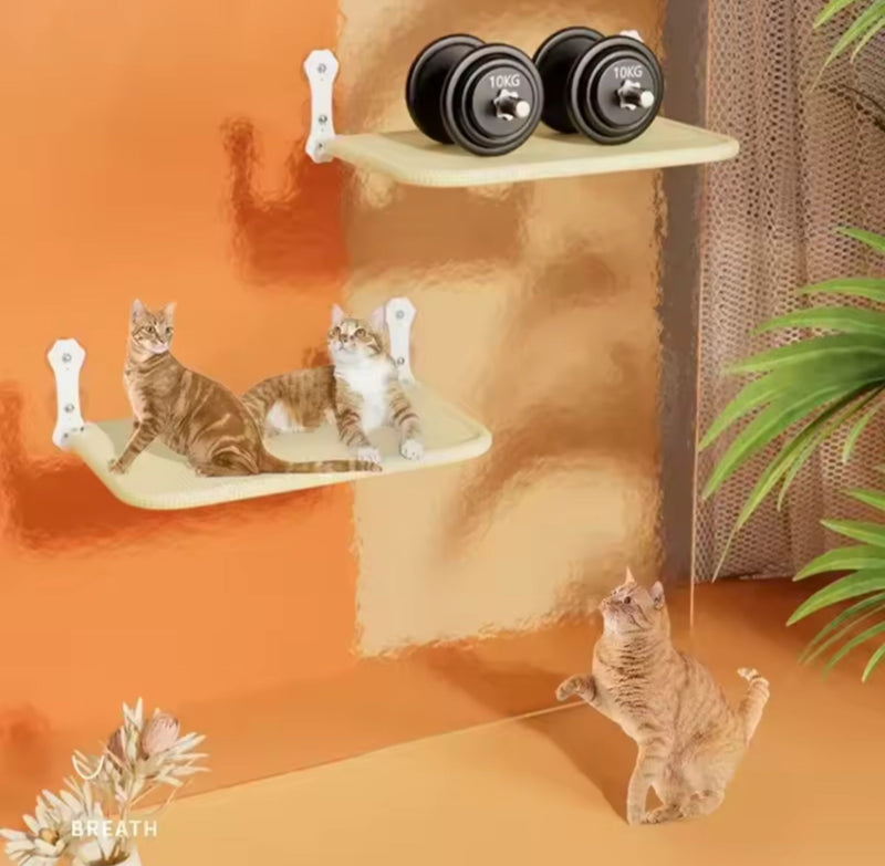 Hamaca de Ventana para Gatos – Descanso con Vista Panorámica