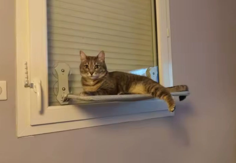 Hamaca de Ventana para Gatos – Descanso con Vista Panorámica