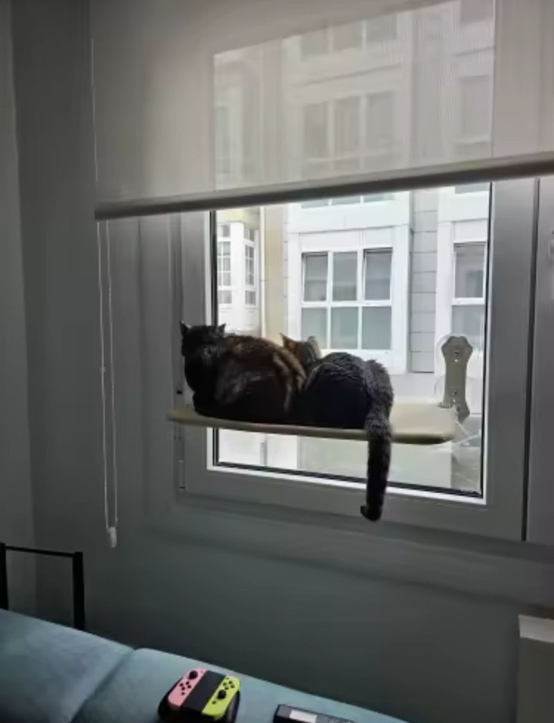 Hamaca de Ventana para Gatos – Descanso con Vista Panorámica