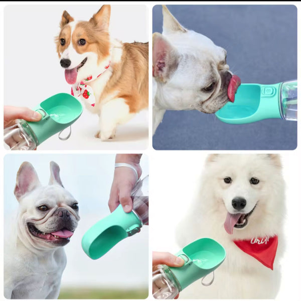La botella inteligente para tu mascota"