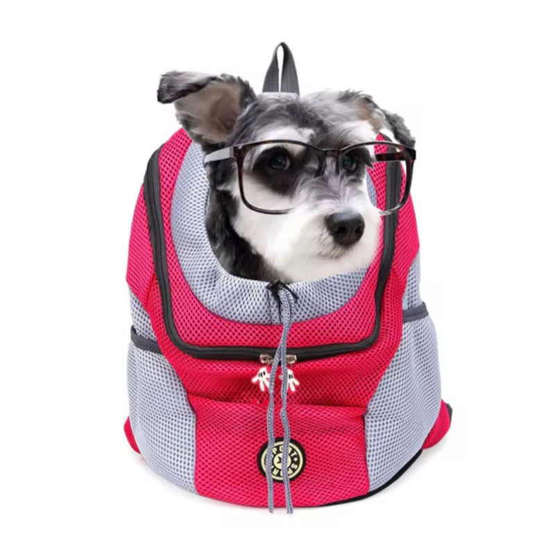 Lleva a tu mascota contigo, sin esfuerzo